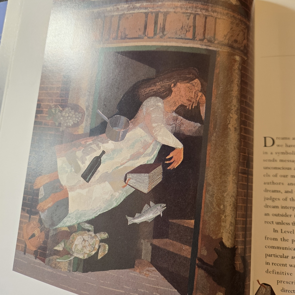The Secret Language of Dreams Softcover Book - Picture 6 of 12